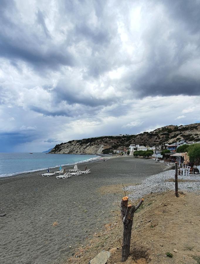 Eirini Apts On The Beach Psari Forada Extérieur photo